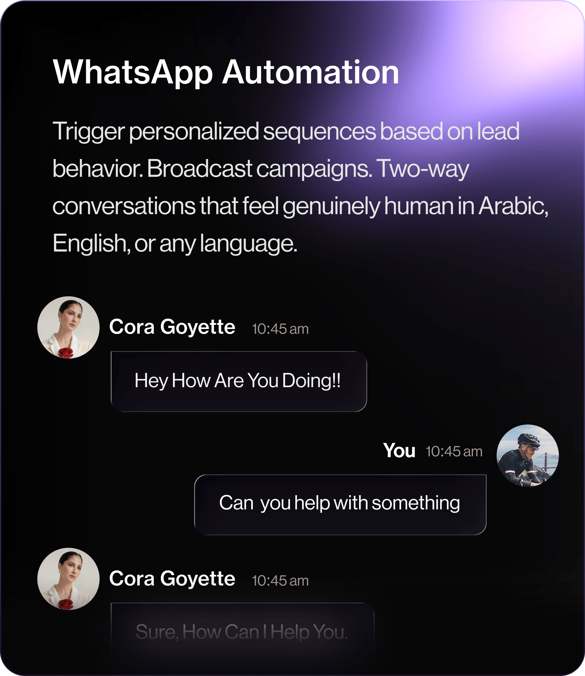 WhatsApp Automation